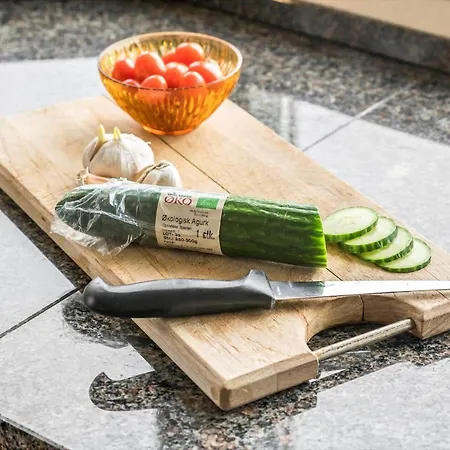 1177-ringkobing-anders-juhls-vej-10 בית נופש *